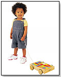 IQ Preschool - Pull-Along Block Cart by SMALL WORLD TOYS