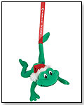 Hanging Mistle Toad by FIESTA