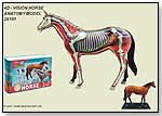 4D – Vision Horse Anatomy Model by FAME MASTER ENTERPRISE LTD.