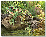 Leopard Frog by FOLKMANIS INC.