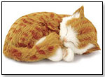 Perfect Petzzz – Orange Tabby by CD3 INC.