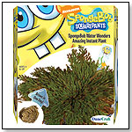 SpongeBob Squarepants - Water Wonders Amazing Instant Plant by DUNECRAFT INC.