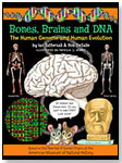 Bones, Brains and DNA. by BUNKER HILL PUBLISHING