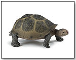 Wild Safari® North American Wildlife Desert Tortoise by SAFARI LTD.®