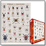 Spiders & Arachnids by EUROGRAPHICS INC.