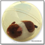 Hamster Scooter Ball by TOY WONDERS INC.