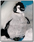 Elwood Emperor Penguin Chick by DOUGLAS CUDDLE TOYS
