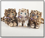 Jungle Kittens by HANNAH'S KITTENS INC.