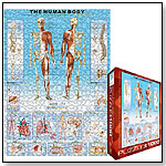 Human Body Puzzle by EUROGRAPHICS INC.