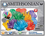 Smithsonian Crystal Growing Kit by NSI INTERNATIONAL INC.