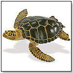 Wild Safari® Sealife Green Sea Turtle by SAFARI LTD.®