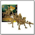 Dino Excavation Kit! Stegosaurus by WILD CREATIONS