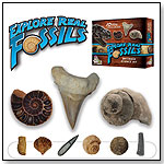 Discover With Dr. Cool Basic Fossil Kit by DISCOVER WITH DR. COOL