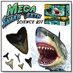Discover With Dr. Cool Mega Shark Tooth Comparison Kit by DISCOVER WITH DR. COOL