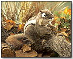 Eastern Chipmunk by FOLKMANIS INC.