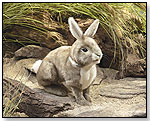 Cottontail Rabbit by FOLKMANIS INC.