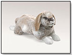 Holland Lop Rabbit by FOLKMANIS INC.