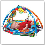 Baby Einstein Around the World Collection Play Gym by KIDS II