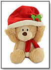 Santa Boo Boo Bear by CUDDLE BARN