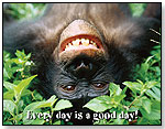 Every Day is a Good Day Poster by BARKER CREEK PUBLISHING