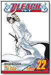 Bleach, Vol. 22 by VIZ MEDIA